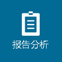 报告分析